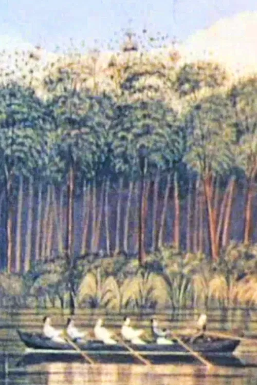 New Country - New People poster