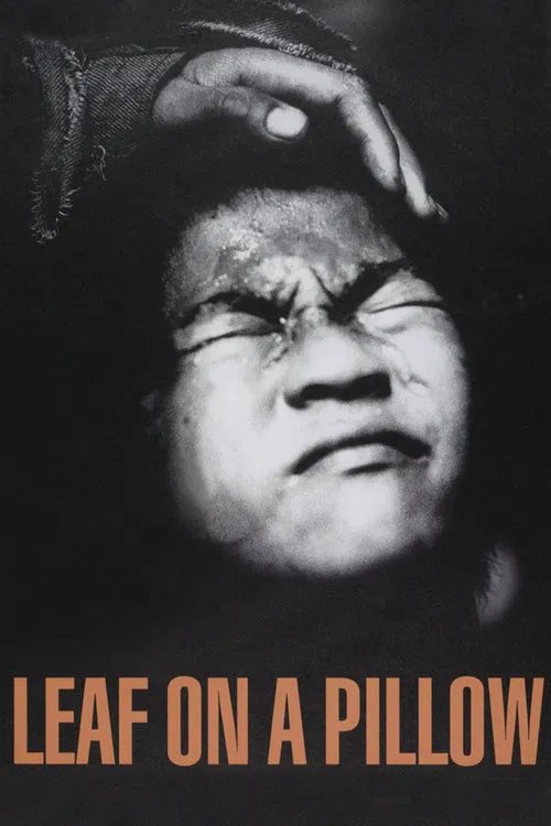 Leaf on a Pillow poster