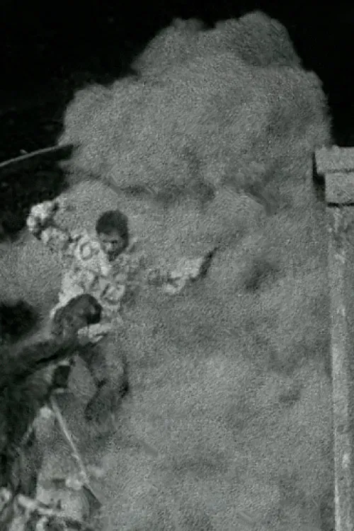 The Black Cat poster