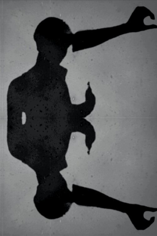 투명한 움직임 poster