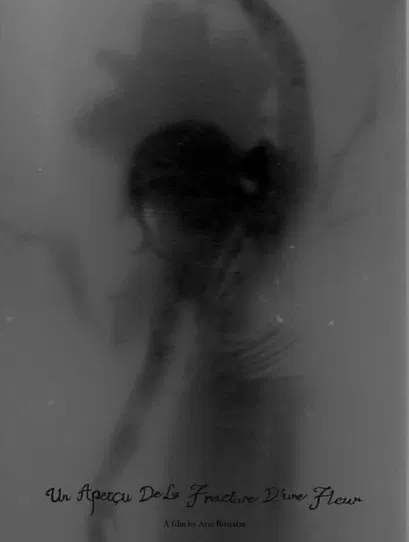 Un Aperçu De La Fracture D’une Fleur poster