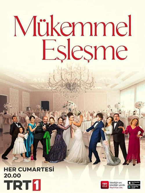 Mükemmel Eşleşme poster