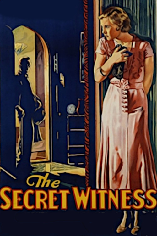 The Secret Witness poster