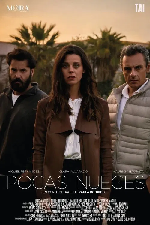 Pocas nueces poster