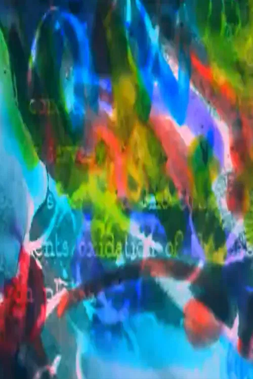 New York Kino (Part II) poster