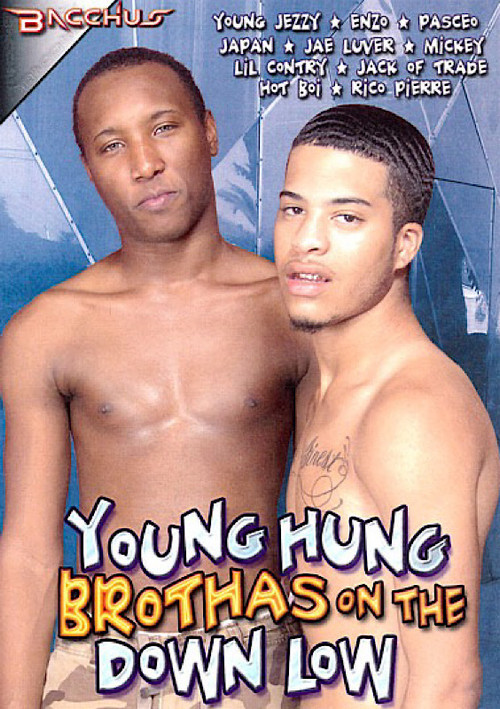Young Hung Brothas on the Down Low poster