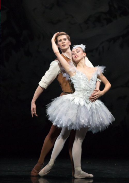 The Fairy's Kiss poster