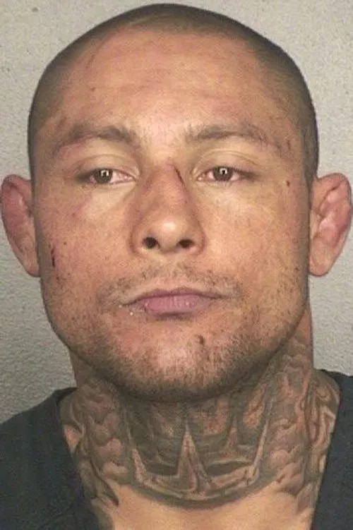 Thiago Silva profile