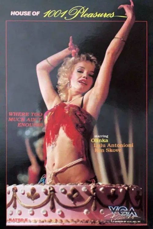 House of 1001 Pleasures poster