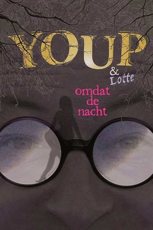 Youp van 't Hek: Omdat De Nacht poster