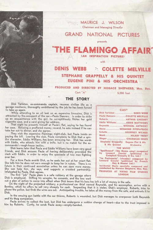 The Flamingo Affair poster
