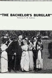The Bachelor's Burglar poster