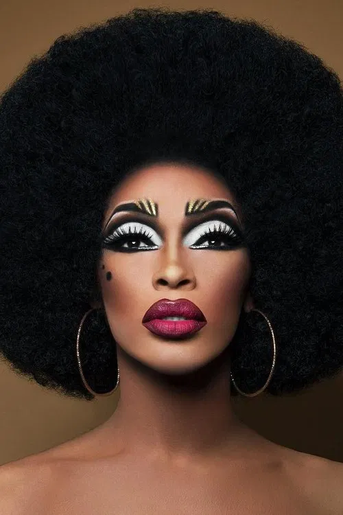 The Vixen profile