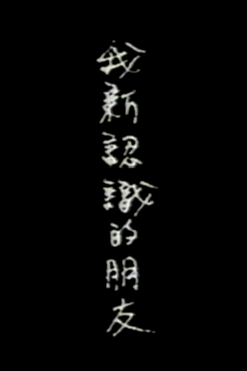 My New Friends poster