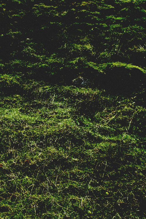 Untitled / Aubrac poster