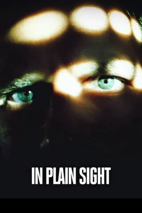 Killer in Plain Sight poster