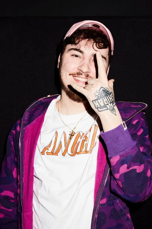 Julien Willemsen profile