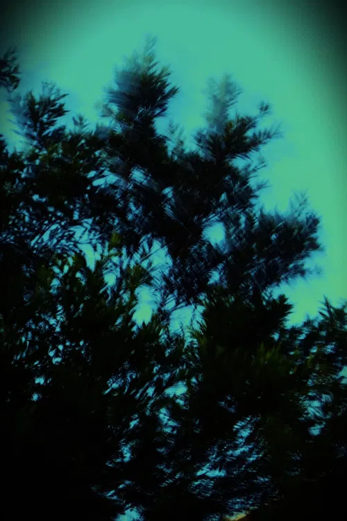 REGISTRANDO O TEMPO poster