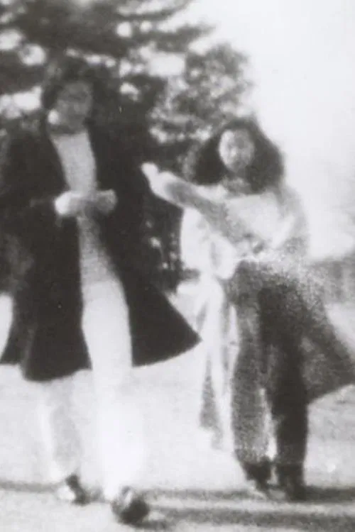 ピクニック poster