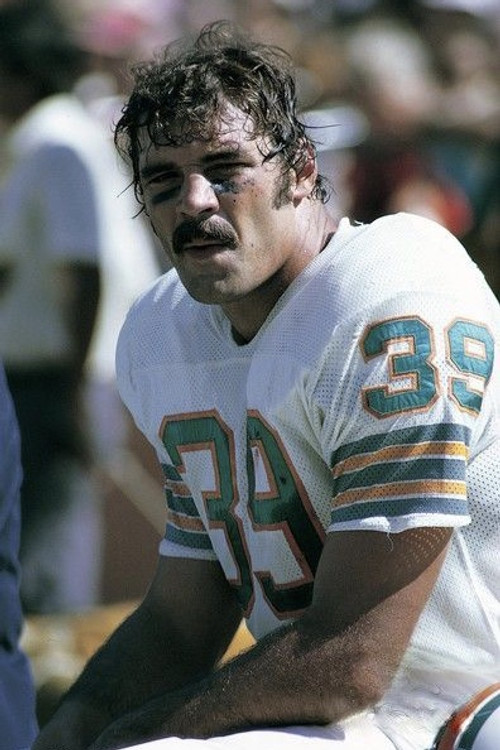 Larry Csonka profile