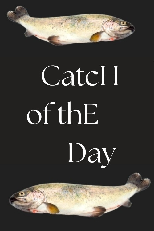 Catch of the Day poster