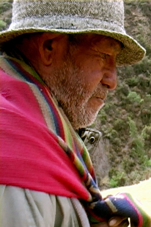 Felipe, vuelve poster