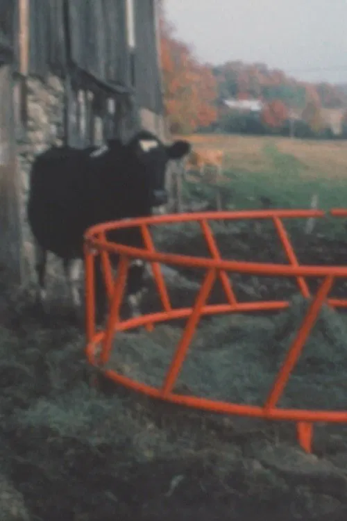 Super 8 Diary - 1991 poster