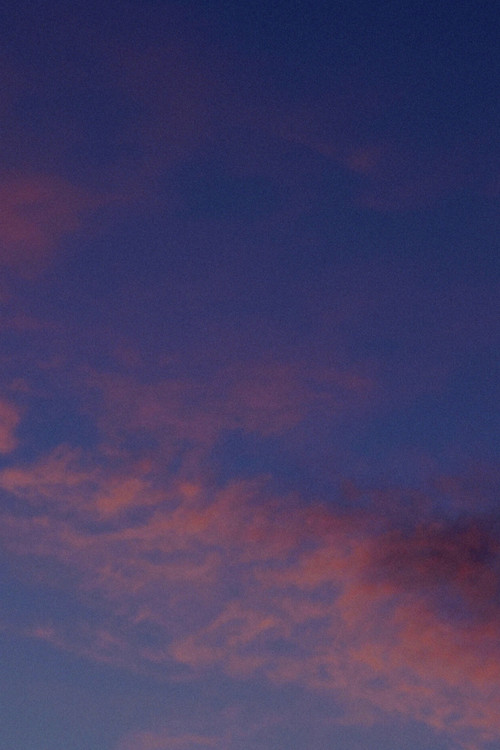 #nothinglastsforever poster