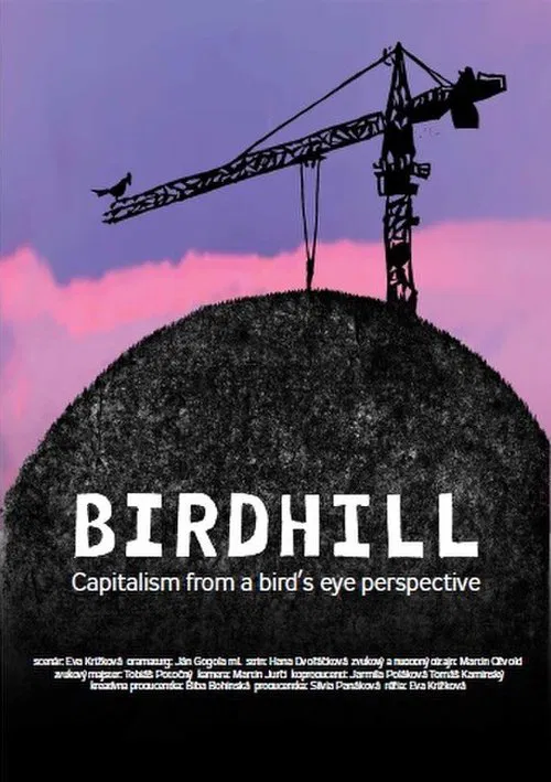 Birdhill poster