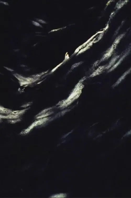 Painted Earth poster