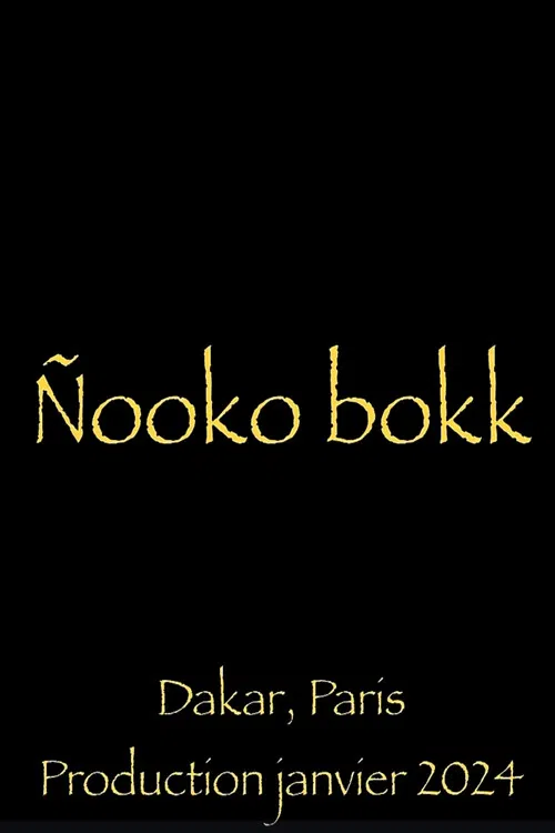 Nooko Bokk poster