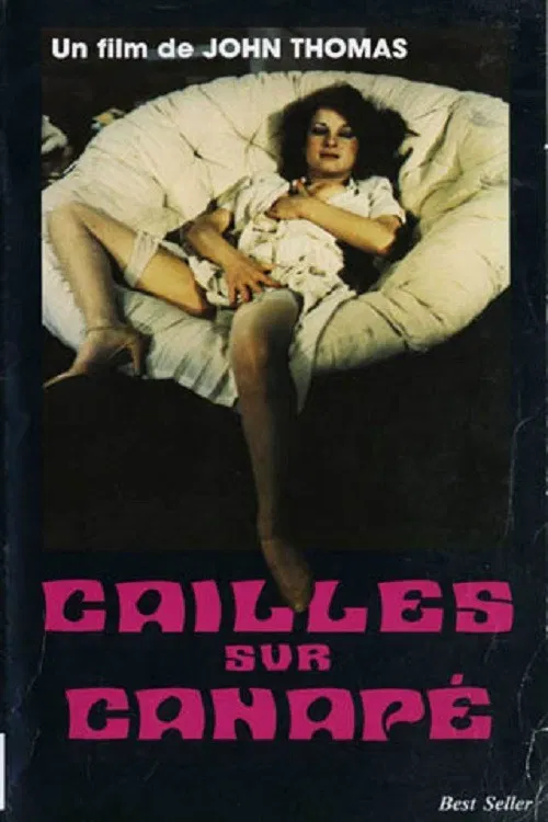 Cailles sur canapé poster