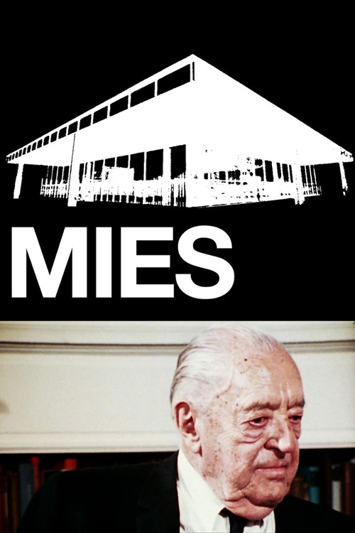 Mies poster