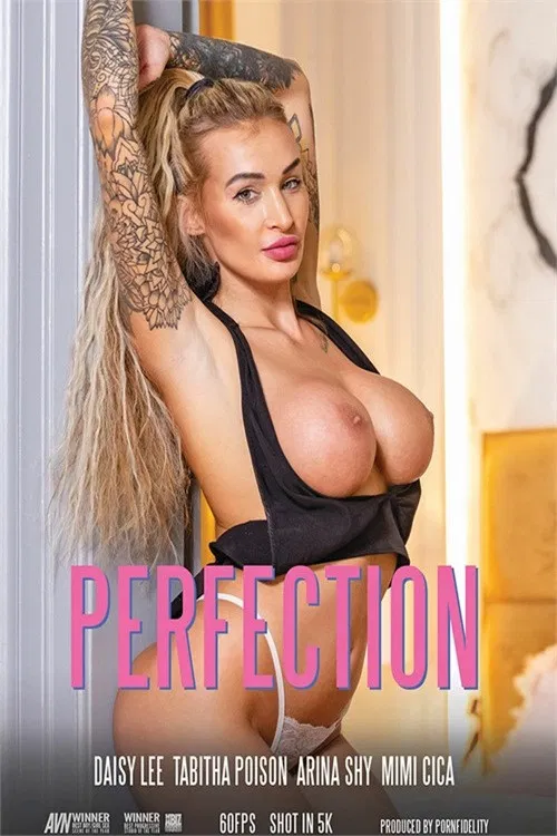 Perfection poster