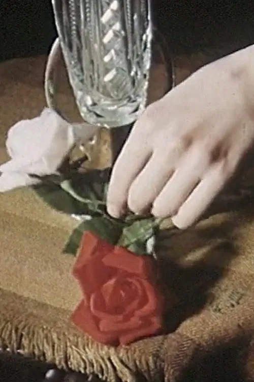 The Poet, the Spider and the Hand﻿ poster