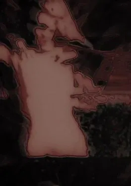 Enduring Ornament poster