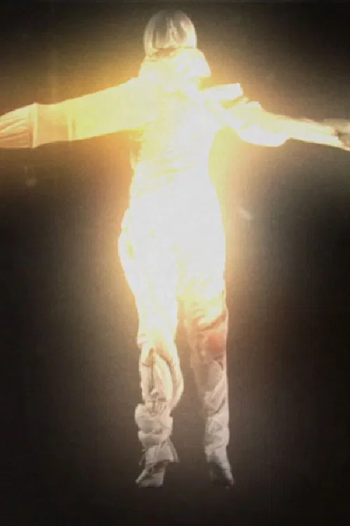 Fight or Flight poster