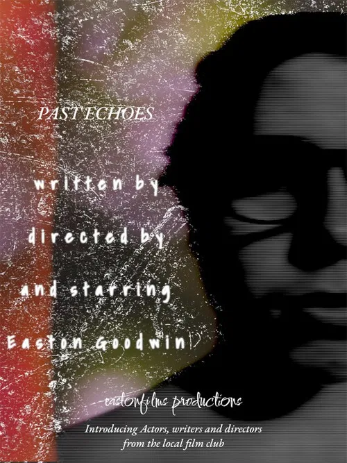PAST ECHOES poster