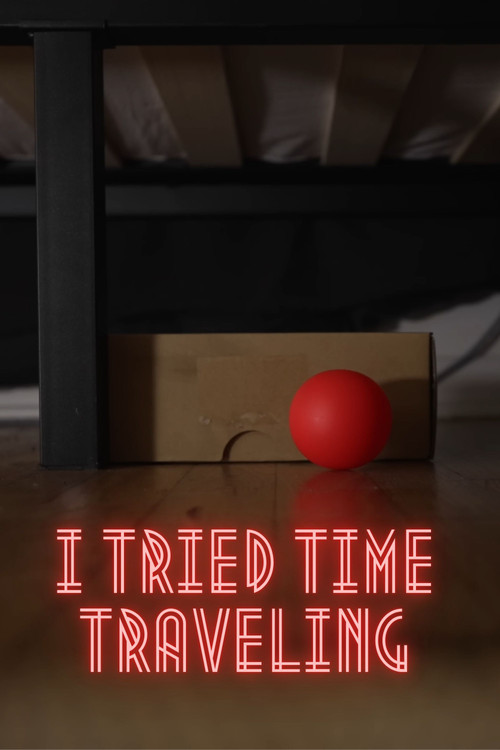 I Tried Time Traveling poster