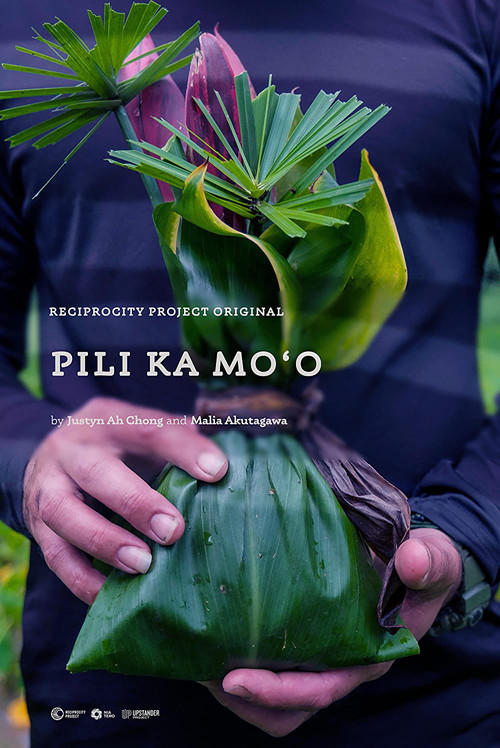 Pili Ka Moʻo poster