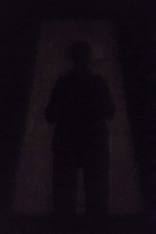 An Image in the Shadow poster