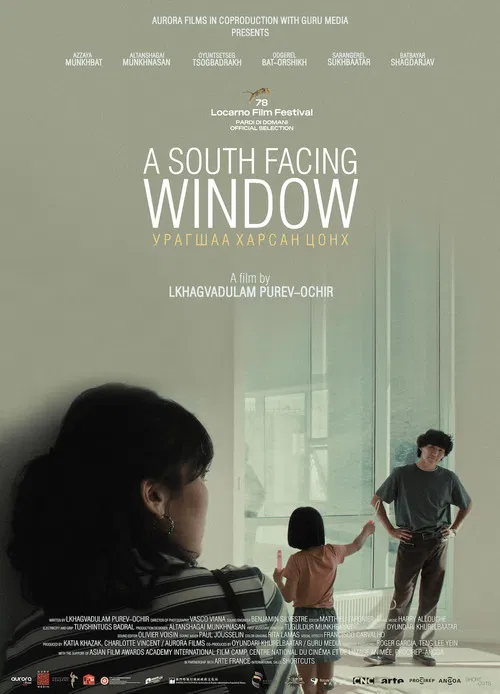 A South Facing Window poster