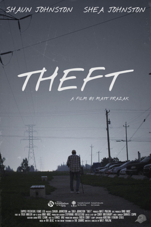 Theft poster