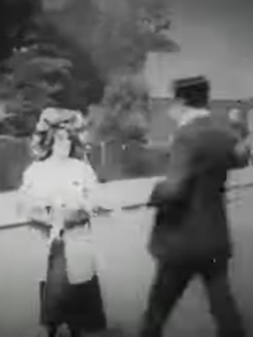 Lost, Stolen or Strayed poster