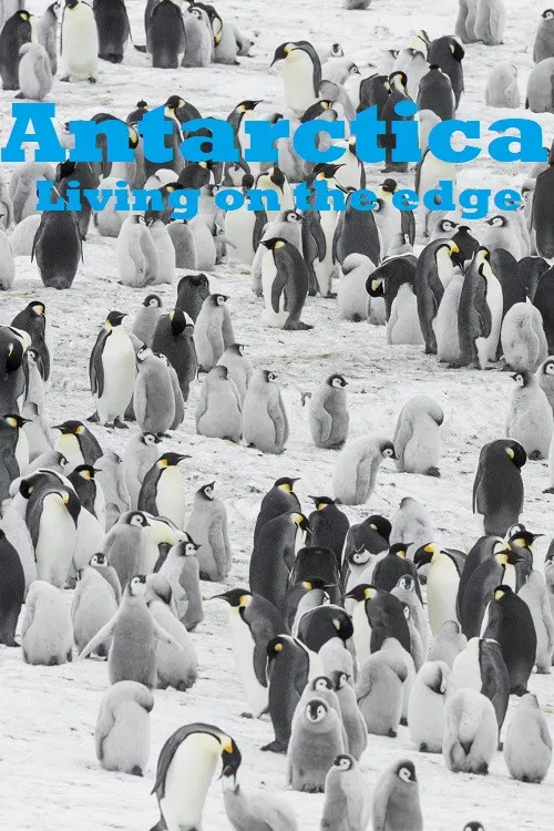Antarctica - Living on the edge poster