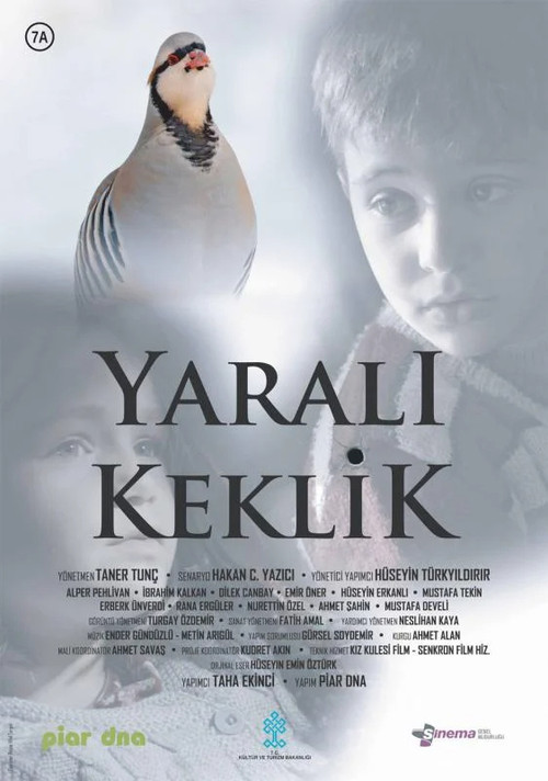 Yaralı Keklik poster
