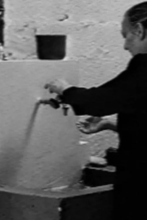 The Dance of the Horses poster