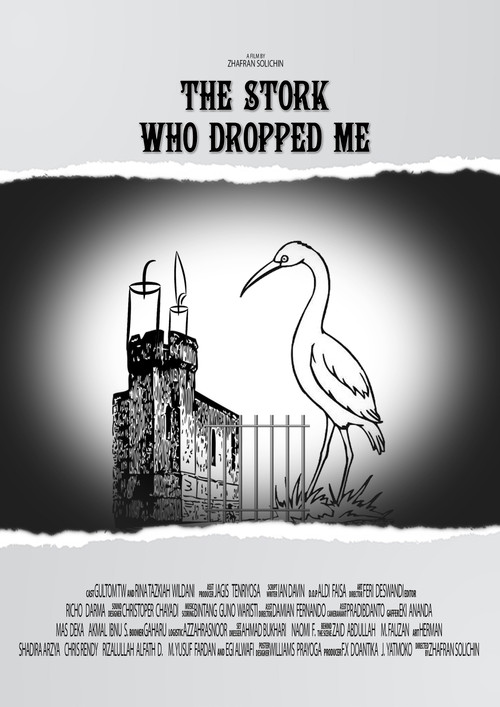 The Stork Who Dropped Me poster