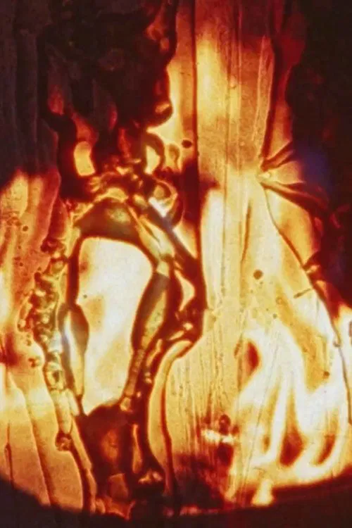 Friendly Fire poster