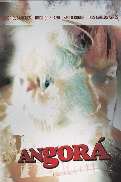 Angorá poster